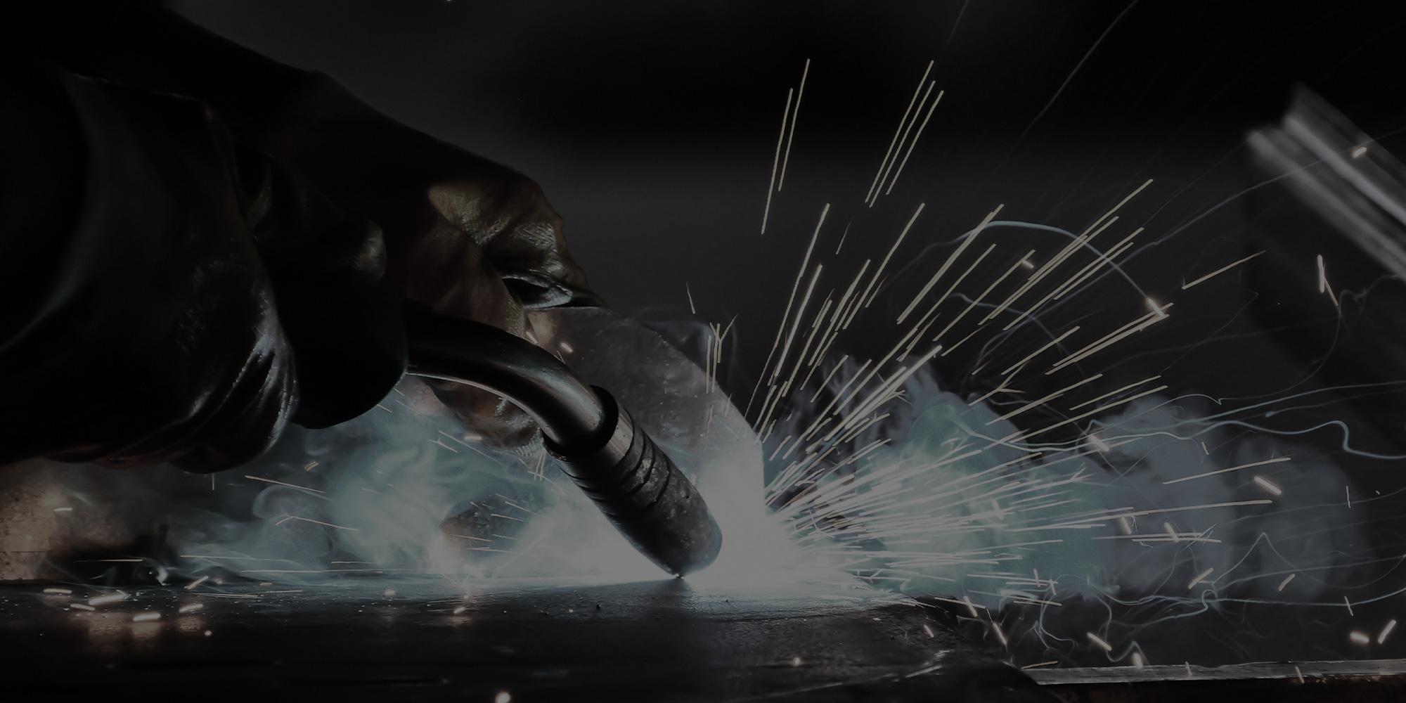 “プロフェッショナル品質”で、愛車はここまで変わる。 美しさと価値を、トータルで守り抜く